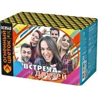 Салют Встреча друзей New ОС8541 купить от производителя Огненный Цветок — Омск