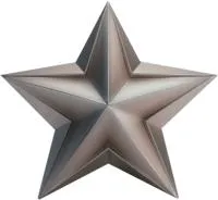 Звезда из нержавеющей стали декор на стелу в Омске (518508)