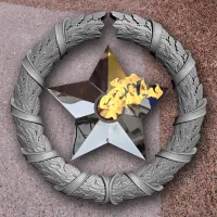 Венок вечный огонь чугун звезда нержавеющая сталь в Омске (518577)