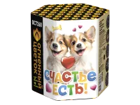 Фейерверк Счастье есть! ОС7260 купить от производителя Огненный Цветок — Омск