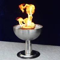 Чаша торжественный огонь (197218) производство для огня ø 320 мм. ветроустойчивая  в Омске